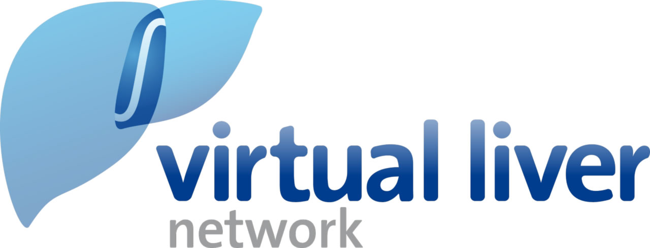 Logo Virtual Liver Network Project