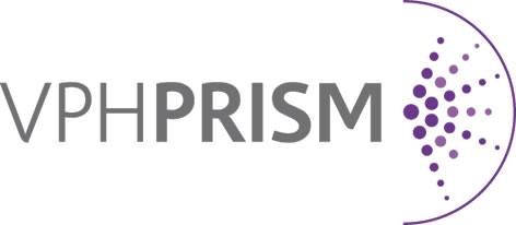 Logo VPH-Prism Project