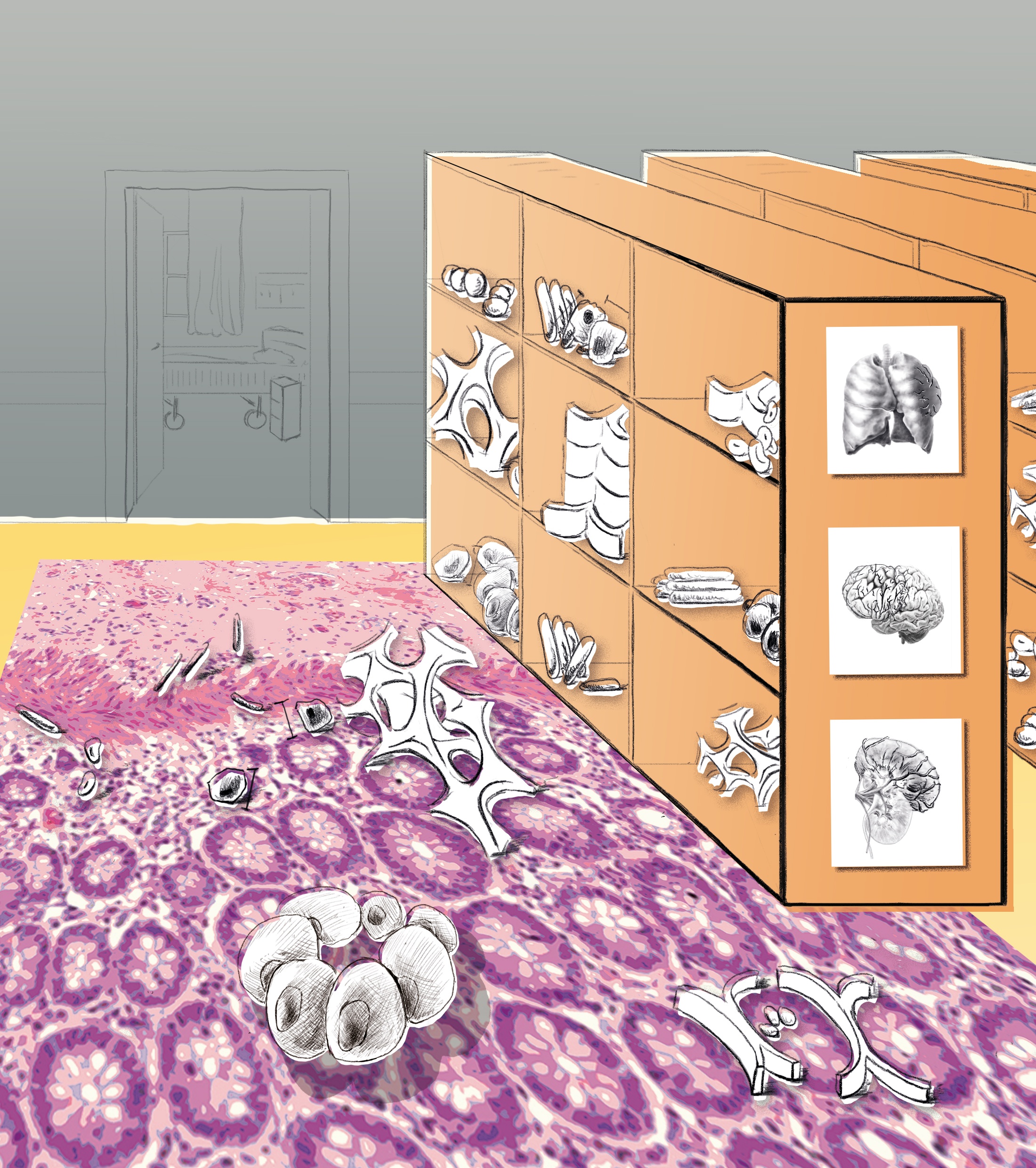 Cellular building blocks as the basis of histopathological diagnostics.