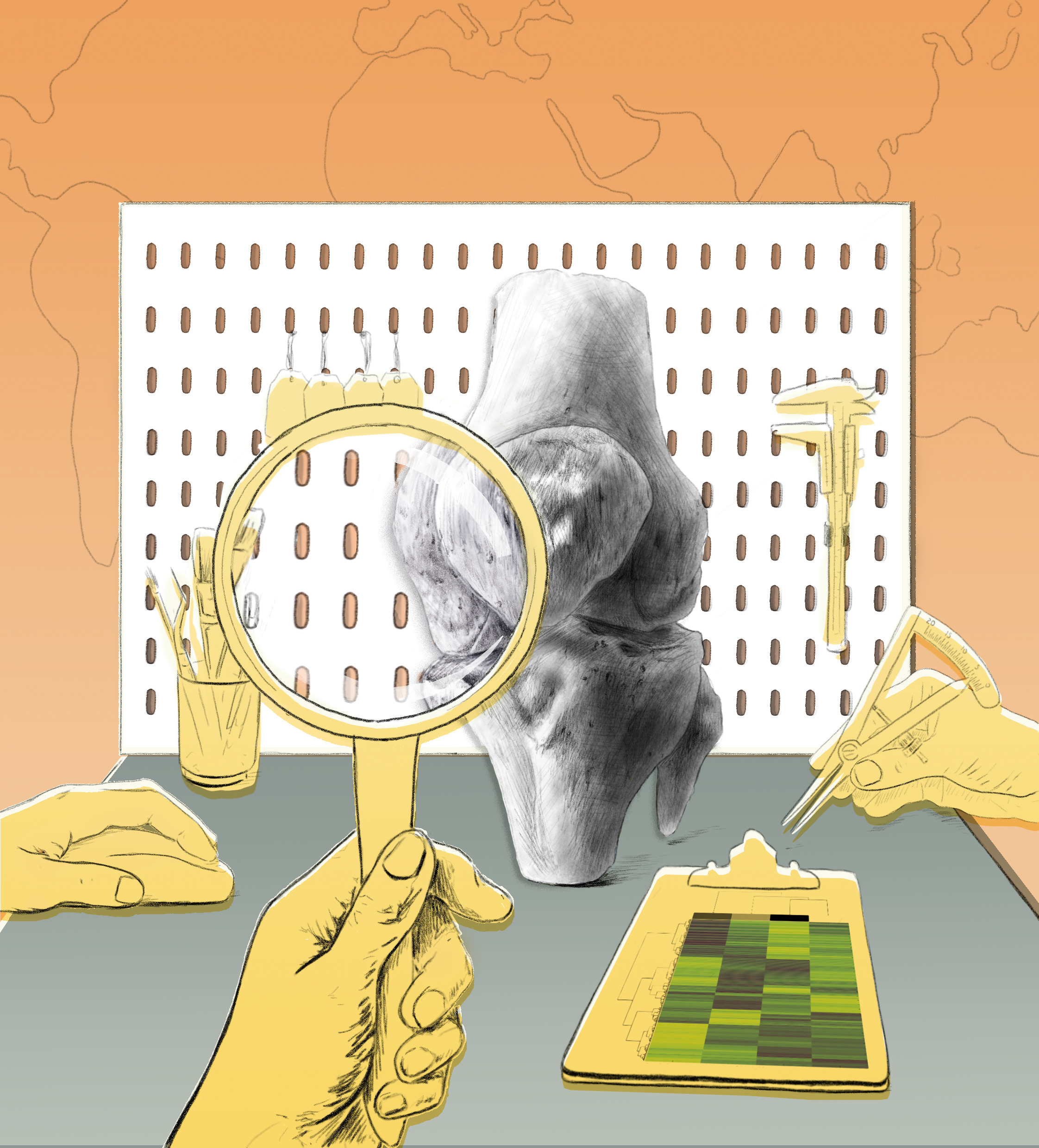 One platform, many tools Various clinical and technical researchers and developers perform different tasks in a dynamic collaboration with the goal of distilling raw medical data into robust AI models.